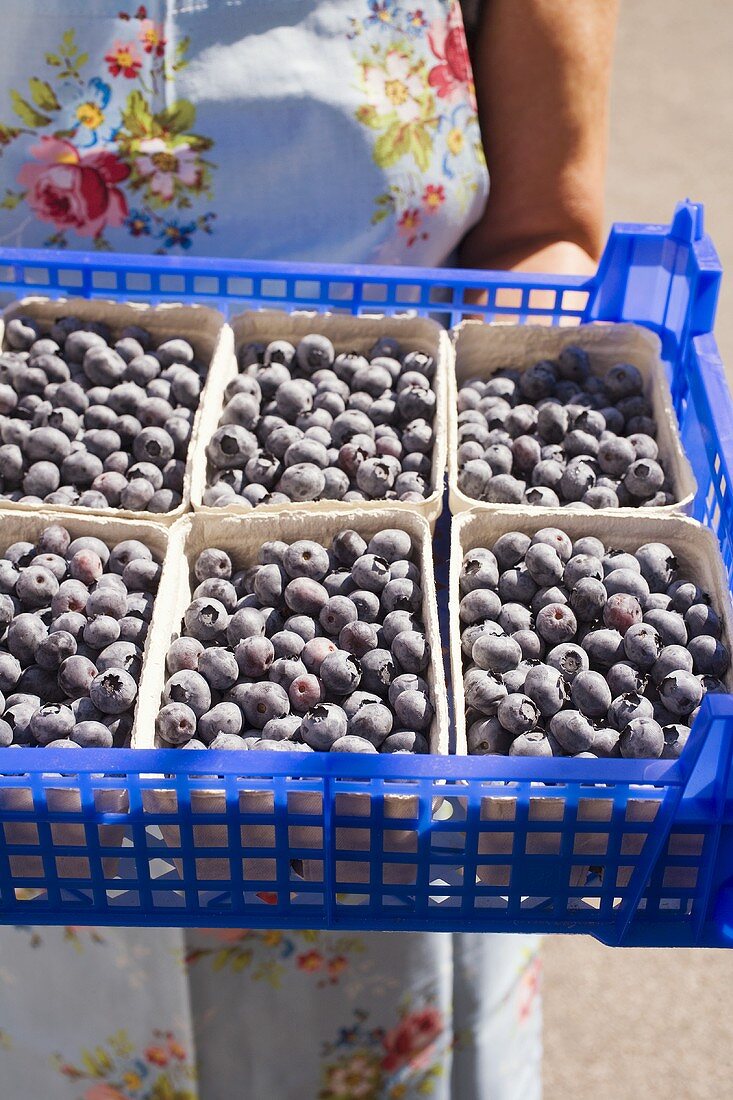 Woman holding crate of blueberries in cardboard punnets