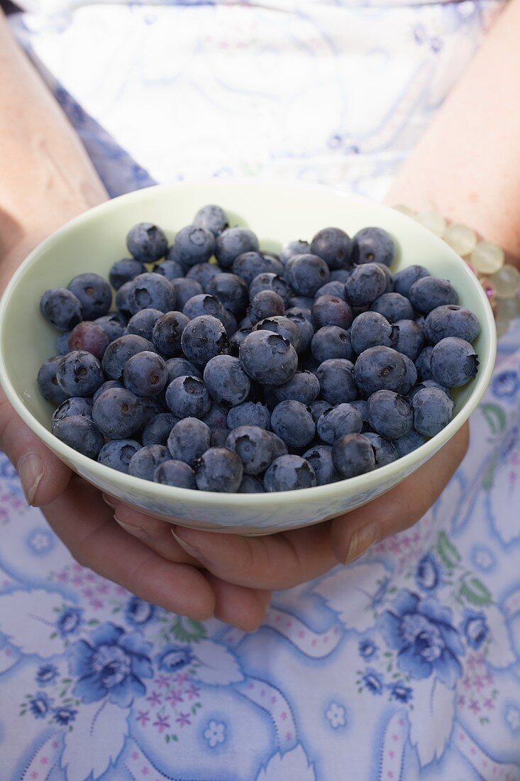 Hände halten Schale mit Heidelbeeren