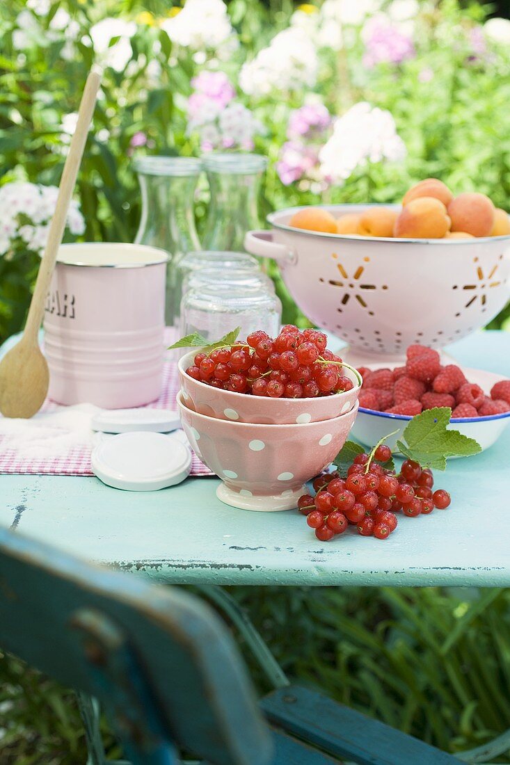 Aprikosen, Beeren und Einmachgläser auf Gartentisch