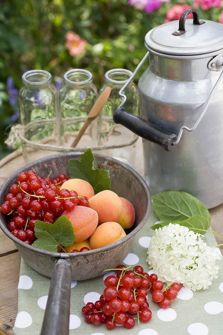 Redcurrants, apricots, bottles, can on garden table