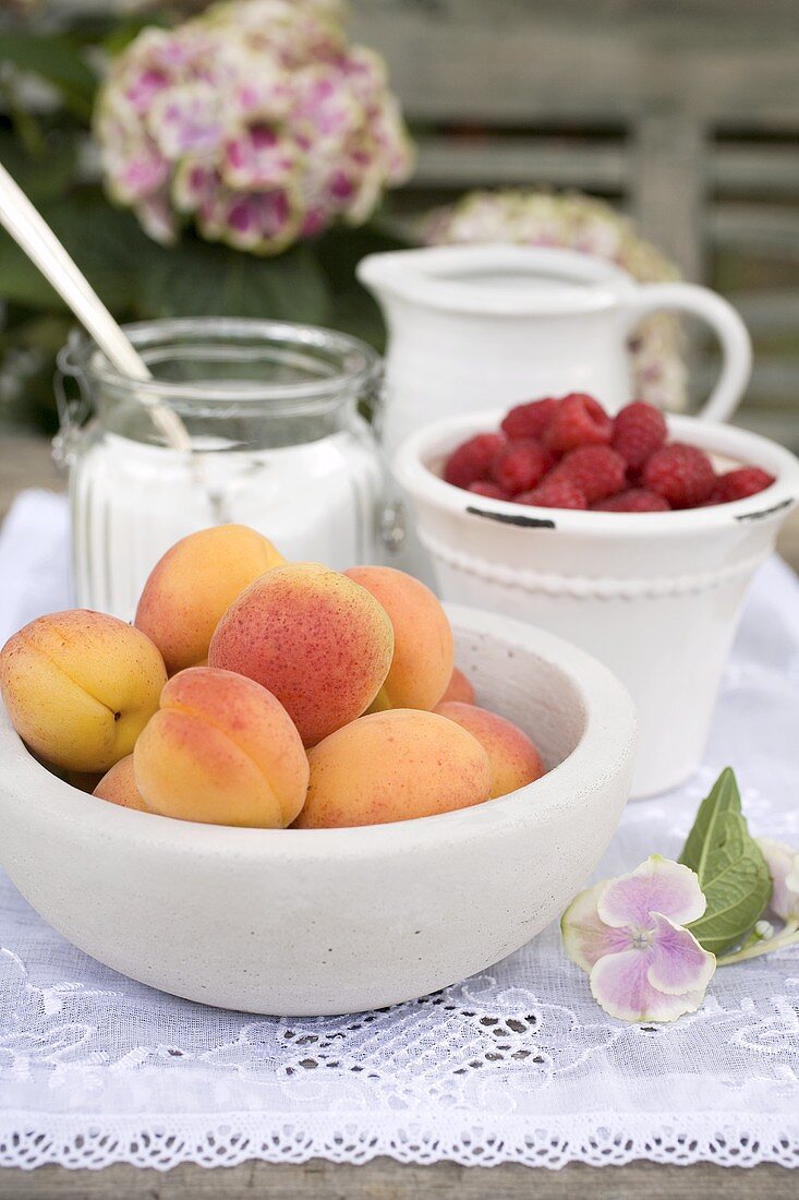 Aprikosen und Himbeeren in Schalen auf Gartentisch