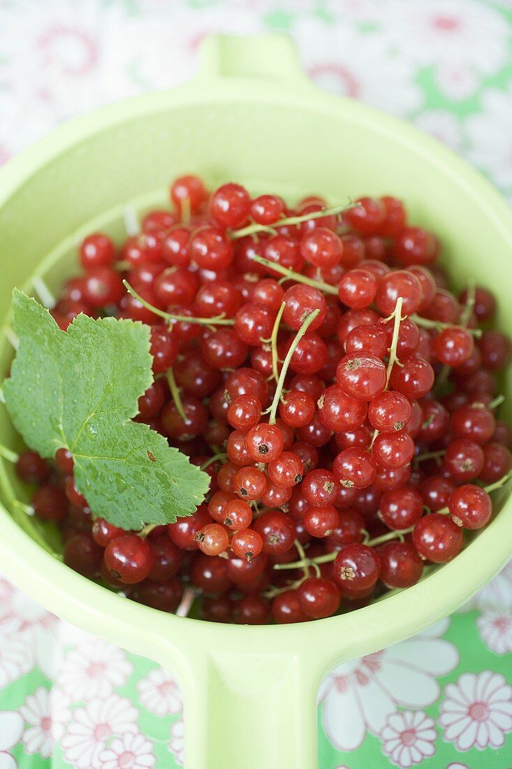 Redcurrants with leaves in a strainer