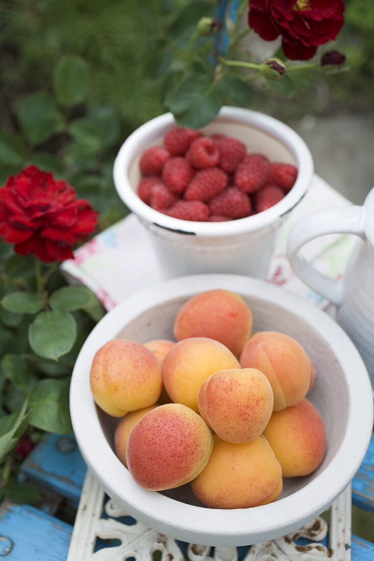 Aprikosen und Himbeeren in Schalen auf Gartentisch