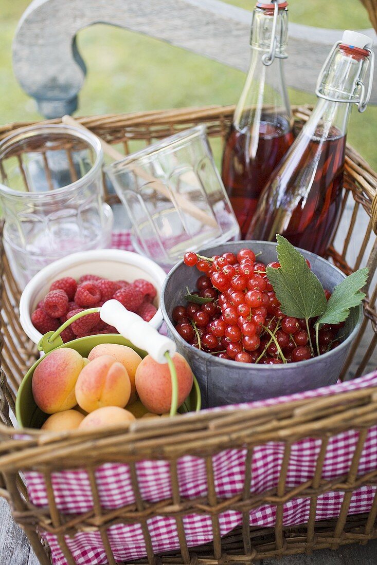 Beeren, Aprikosen, Saftflaschen und Einmachgläser im Korb