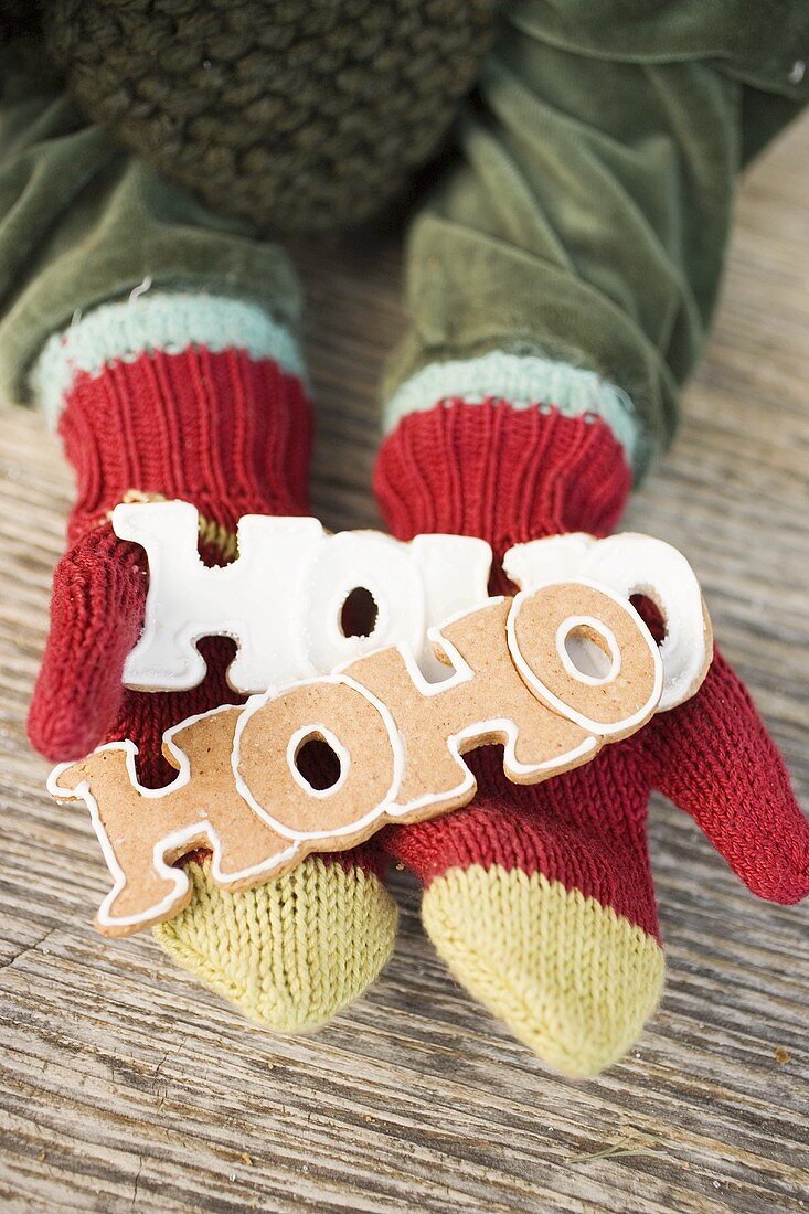 Child's hands in woollen mittens holding gingerbread (HOHO)