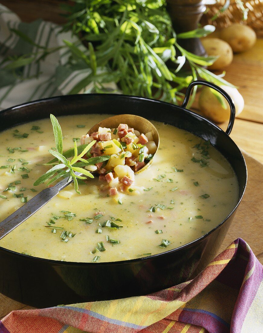 Potato soup with tarragon and ham