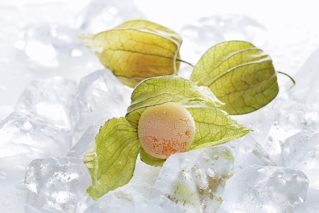 Gefrorene Physalis auf Eiswürfeln