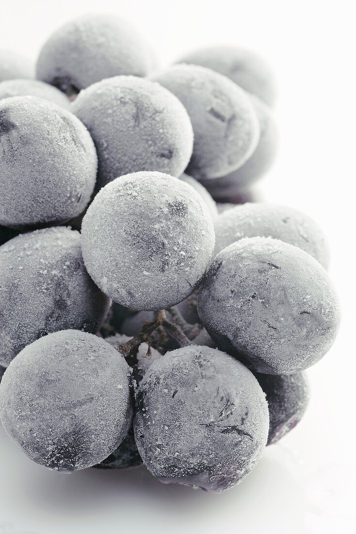 Frozen black grapes (close-up)