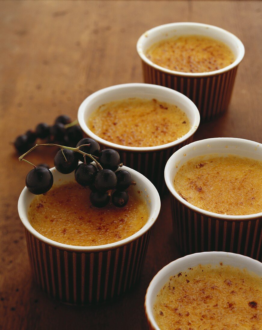Crème brûlée in several ramekins