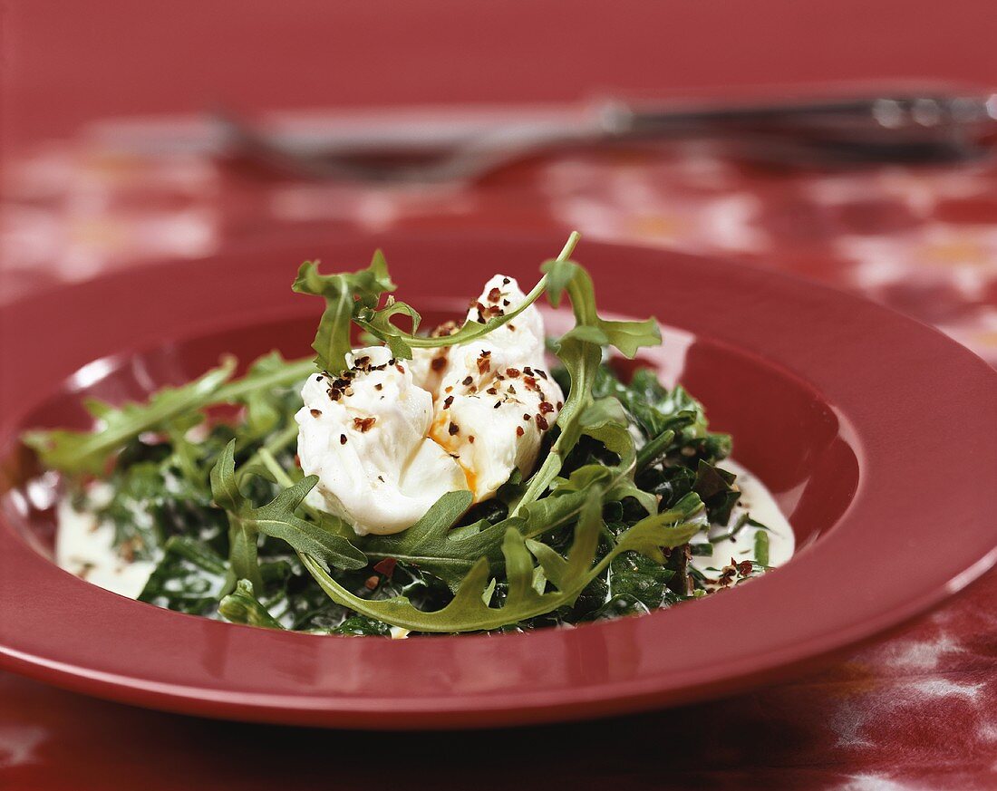 Poached egg with rocket and spinach