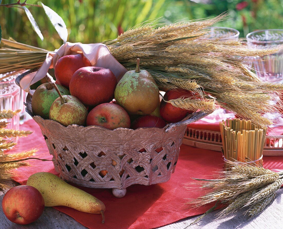 Autumn table decoration: pears, apples & cereal ears in basket