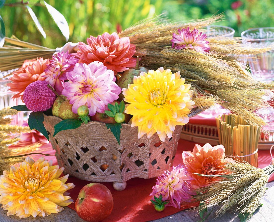 Herbstliche Tischdeko mit Dahlien, Ähren, Äpfeln und Birnen