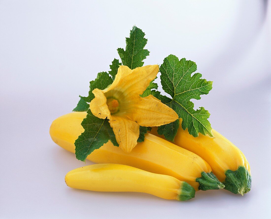 Yellow courgettes with flower and leaves