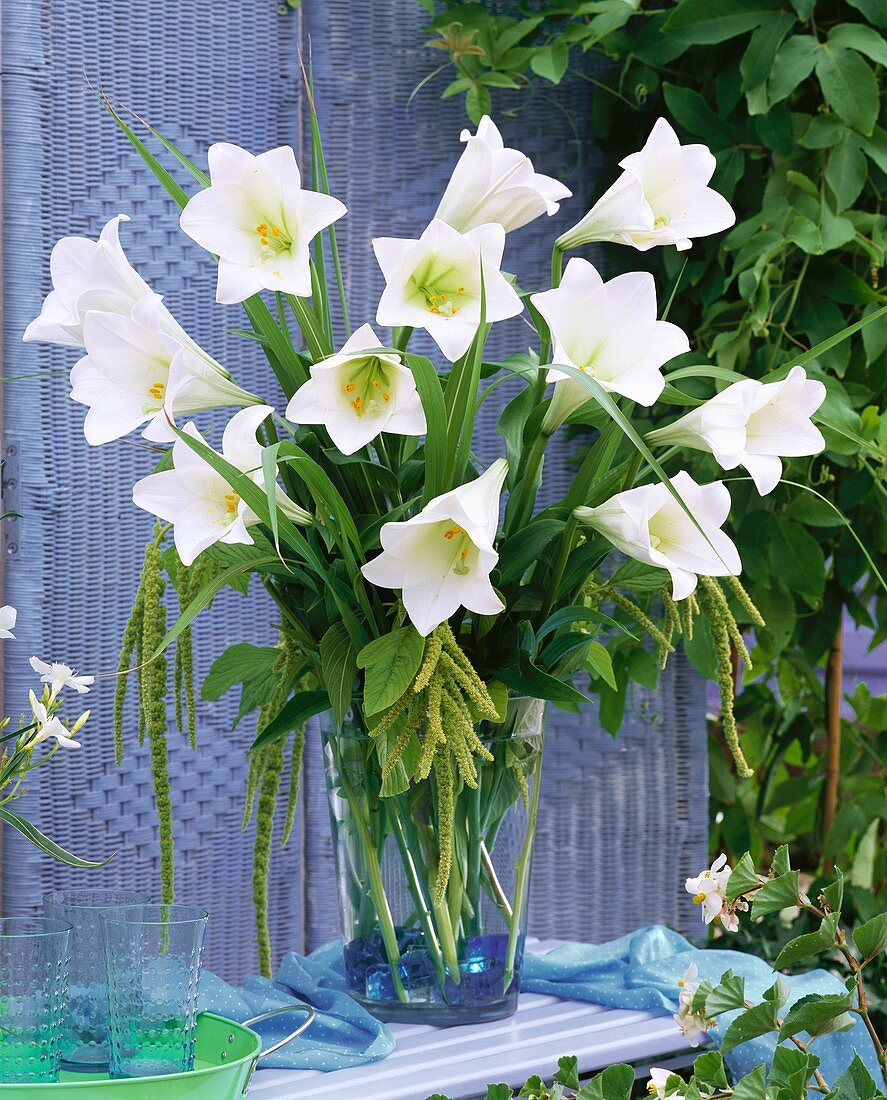 Lilies and love-lies-bleeding in glass vase