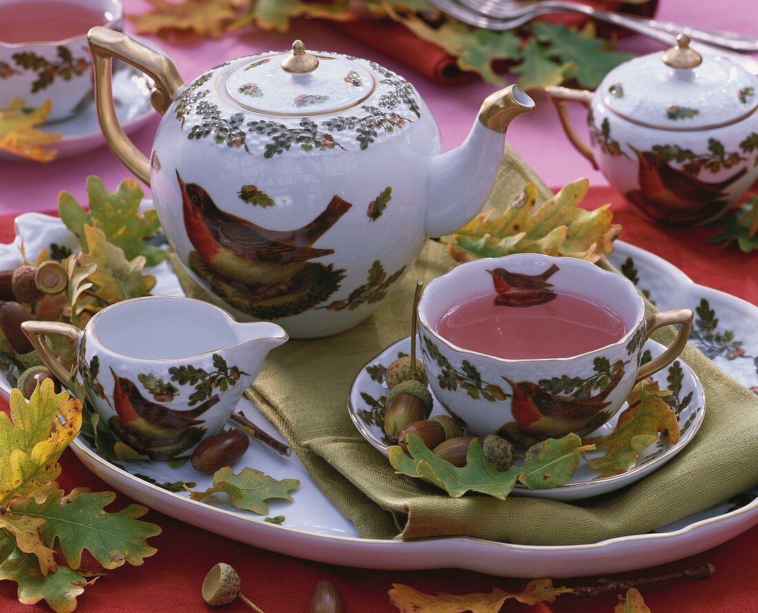 Früchtetee in Teetasse mit Rotkehlchenmotiv, Eicheln, Blätter