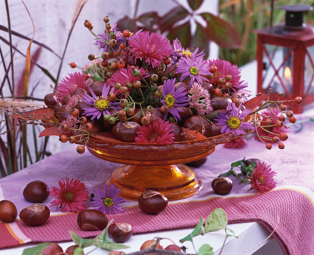 Asters, rose hips and chestnuts on glass pedestal stand