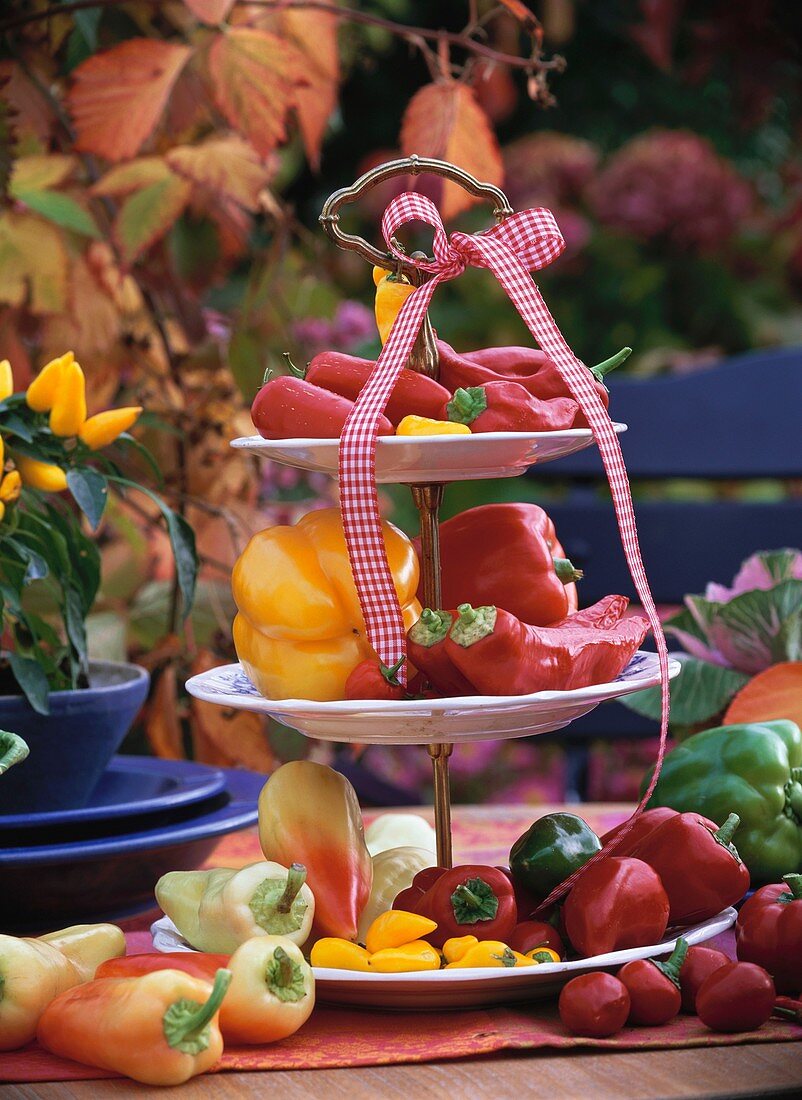 Coloured peppers on tiered stand decorated with bow