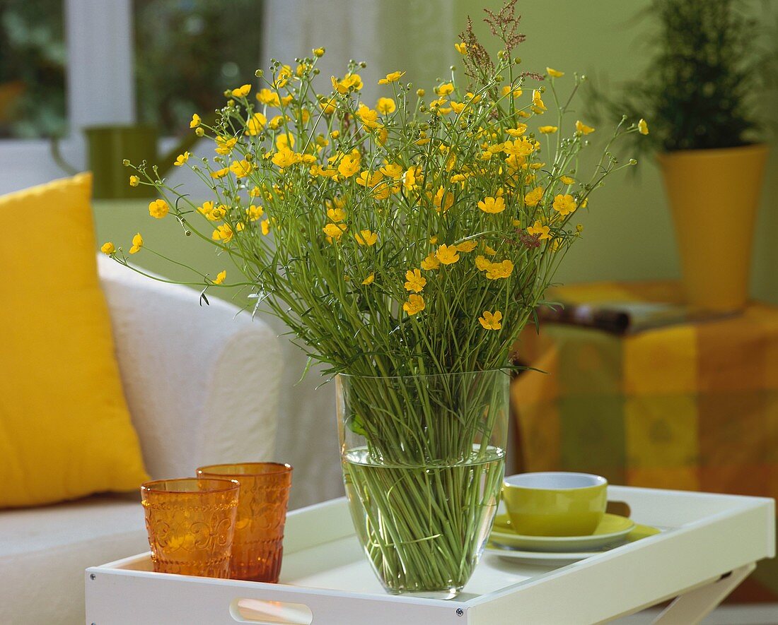 Buttercups and sorrel in vase on tray