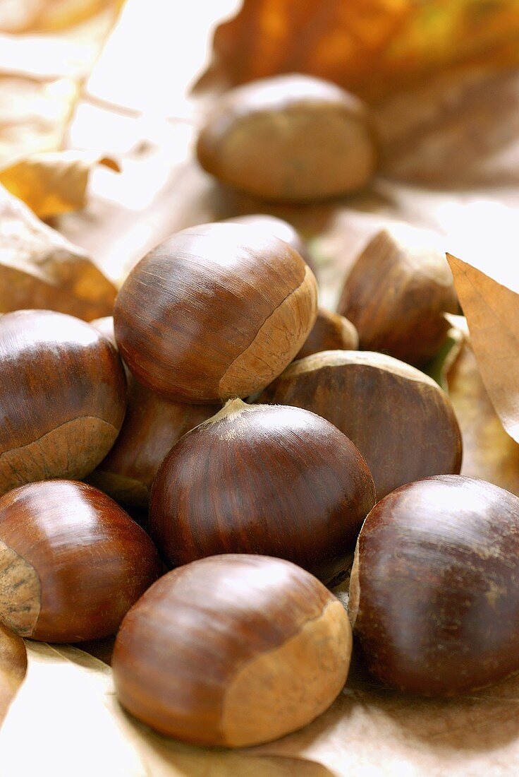 Chestnuts on autumn leaves