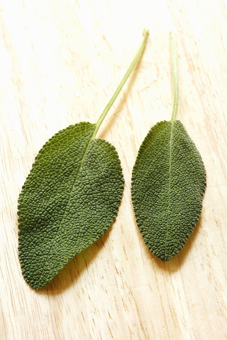 Two fresh sage leaves