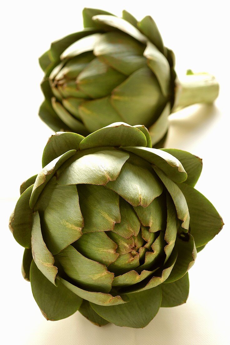 Two green artichokes