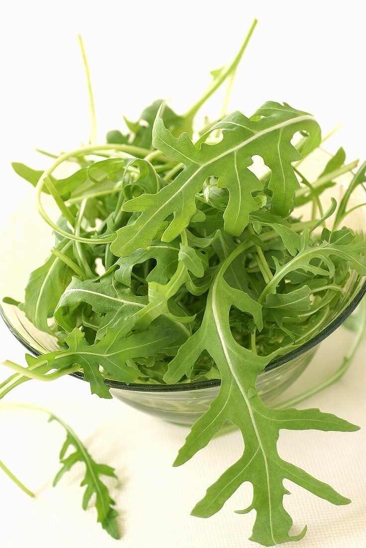 Fresh rocket in glass bowl