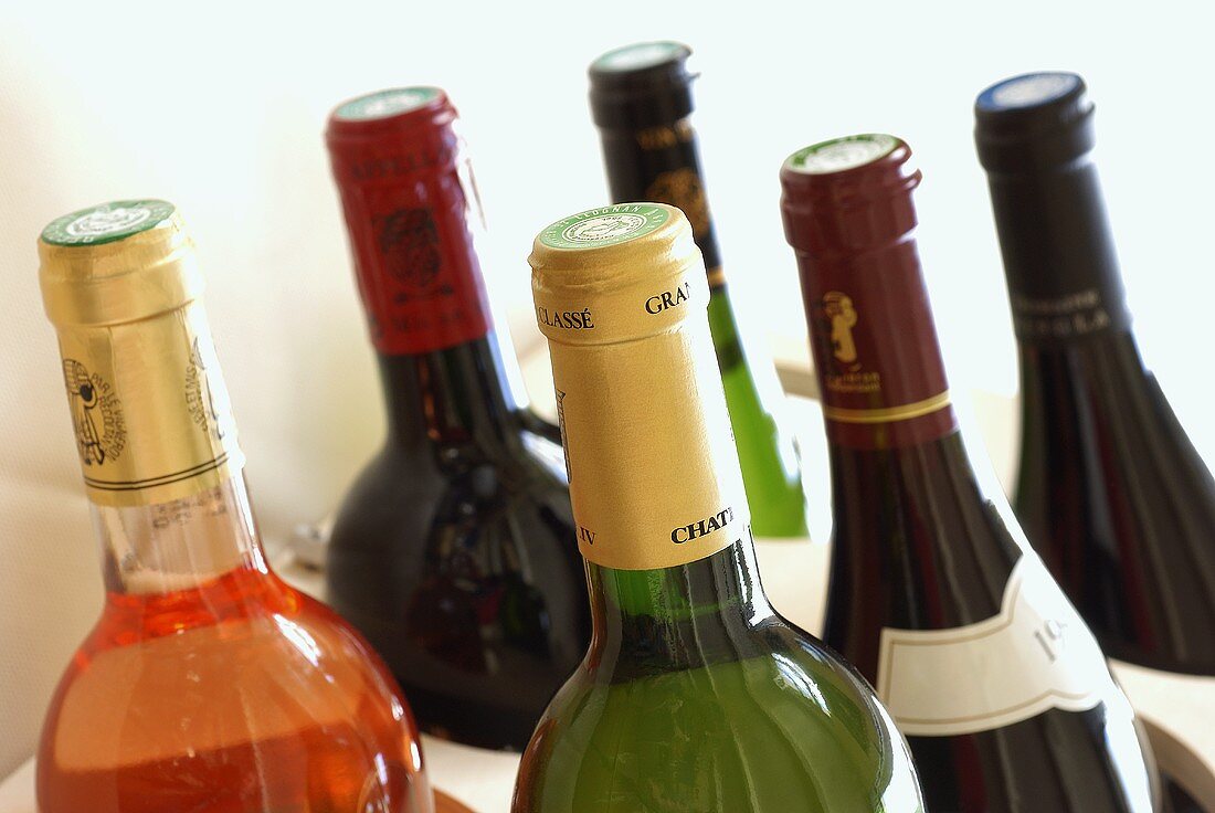 Verschiedene Weinflaschen im Regal