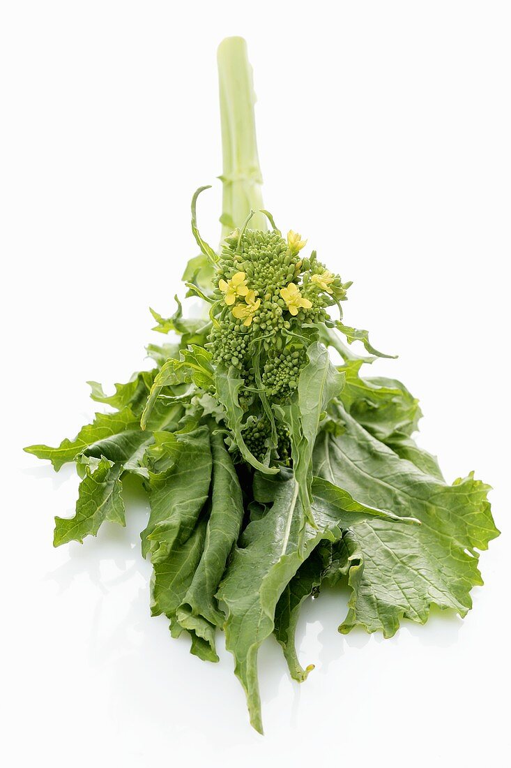 Fresh broccoli rabe with flowers