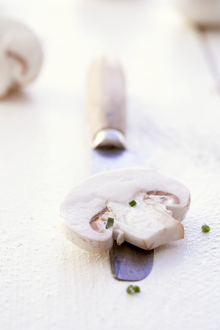 Slice of mushroom on knife