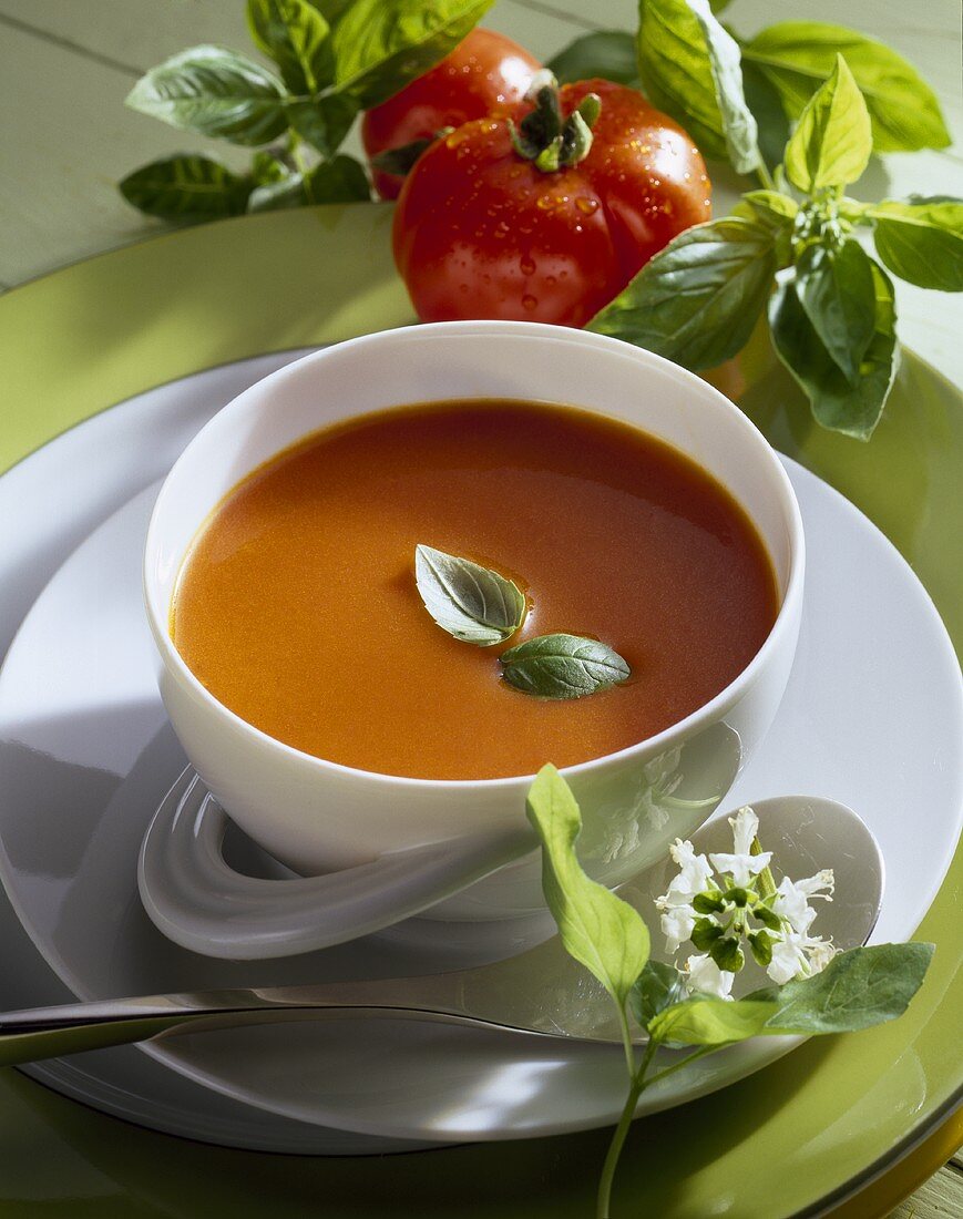 Creamed tomato soup with basil