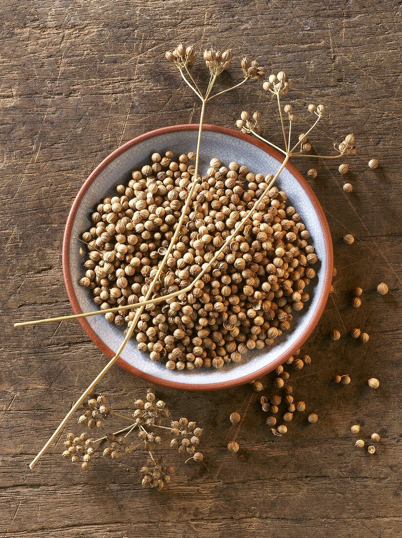 Coriander seeds in and beside bowl