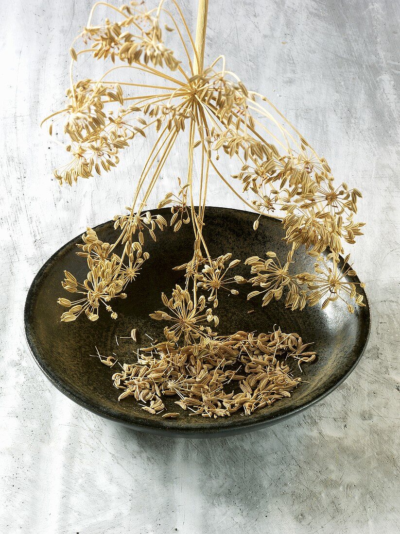 Fennel seeds in bowl