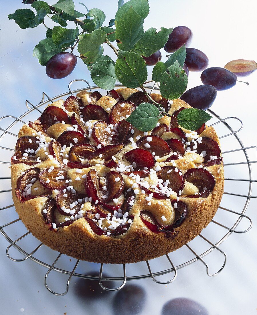 Plum cake with pearl sugar on cake rack