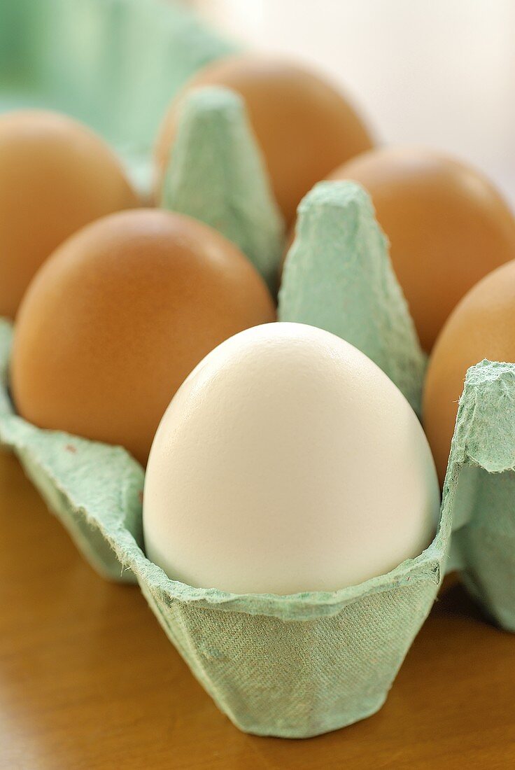 Sechs Eier im Eierkarton