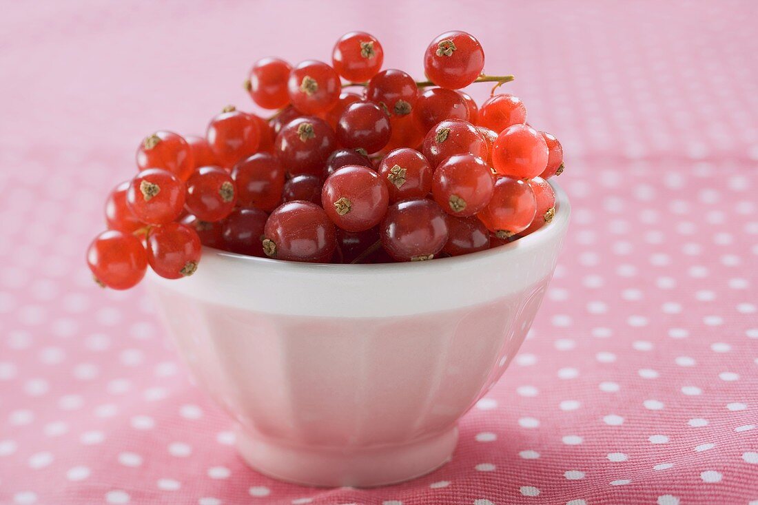 Redcurrants in white bowl