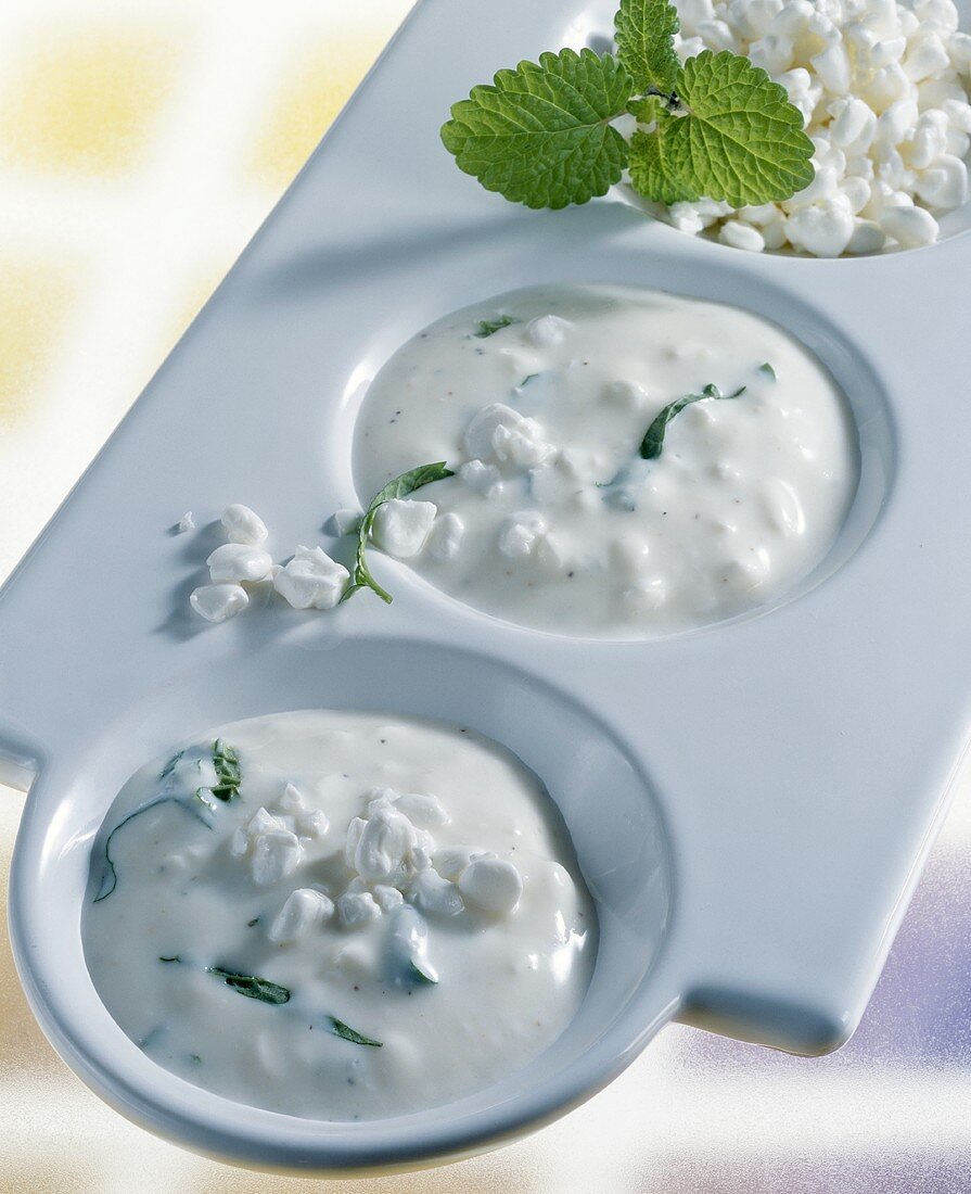 Yoghurt sauce with cottage cheese and mint