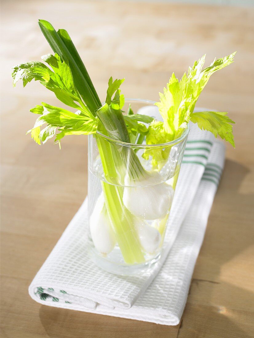 Spring onions and celery in glass of water