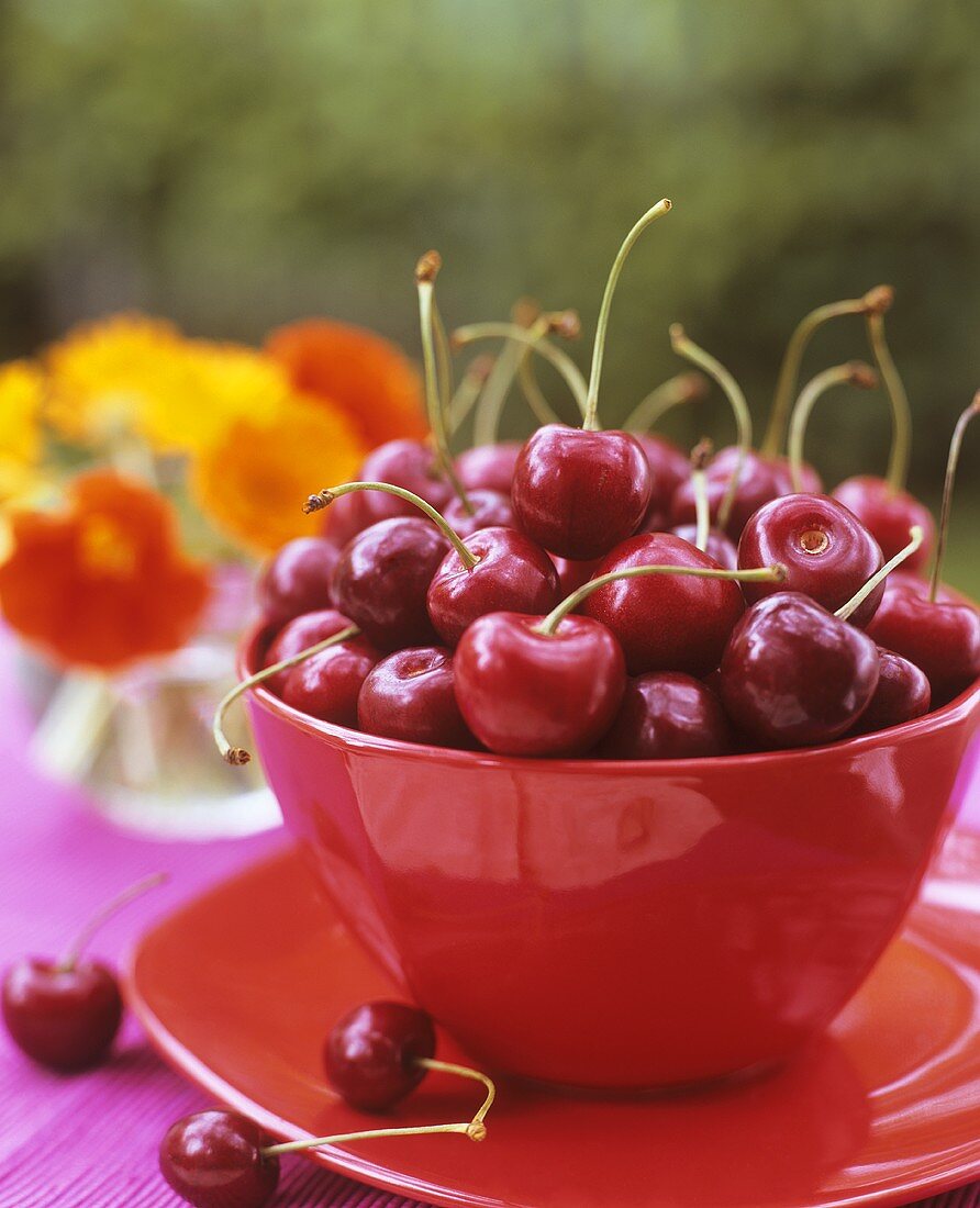 Fresh cherries in red bowl