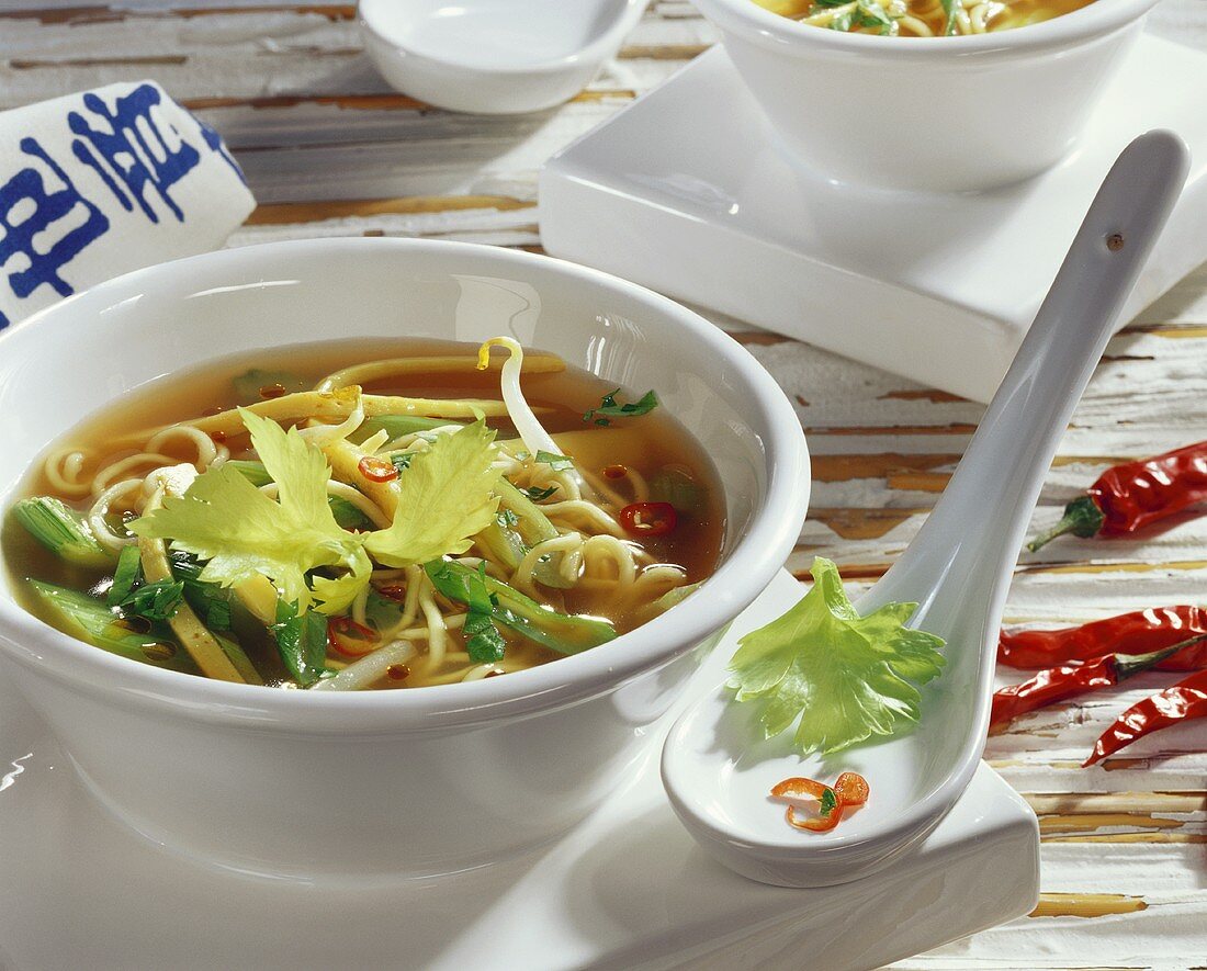 Noodle soup with chicken and sprouts (China)