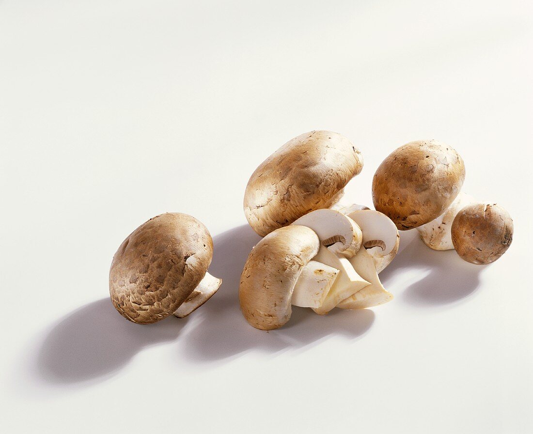 Several brown mushrooms