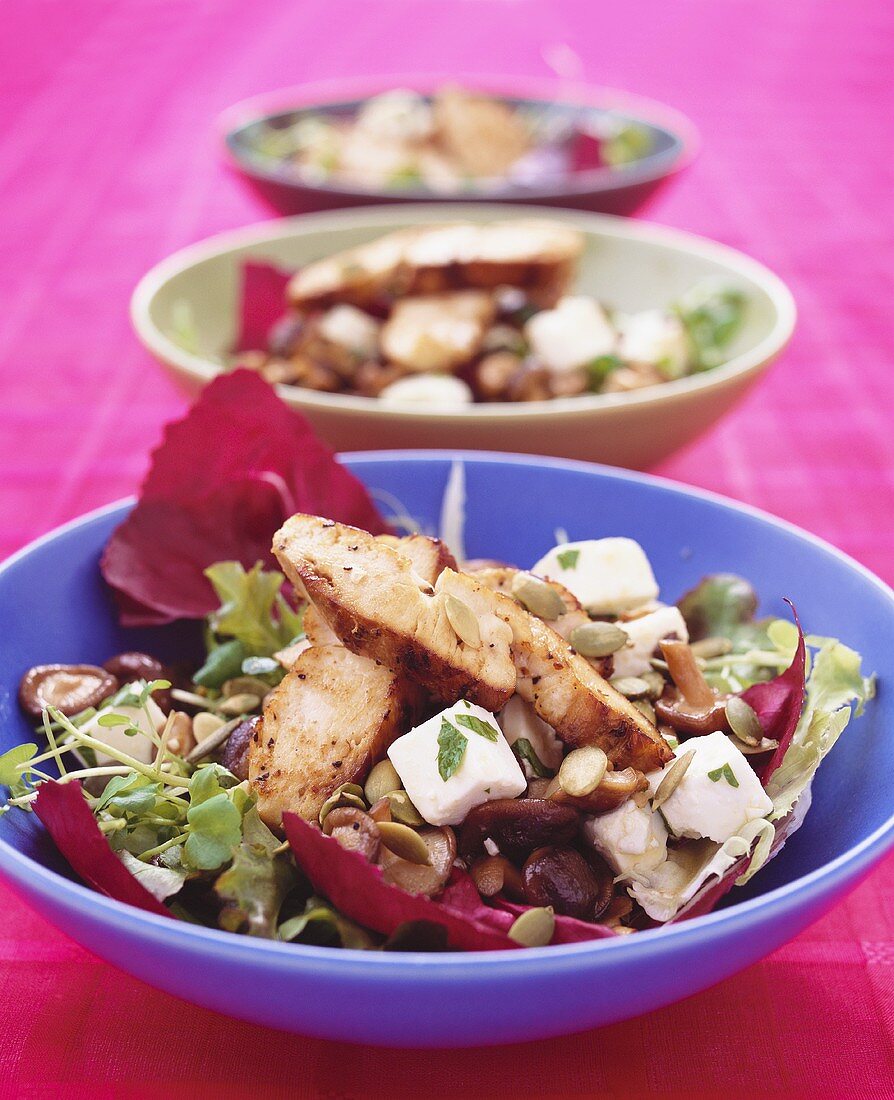 Drei Blattsalate mit Hähnchen, Käse und Shiitakepilzen