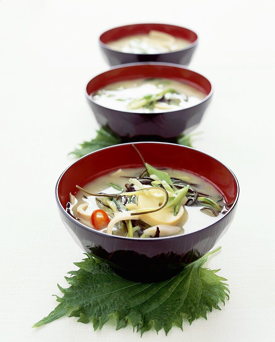 Drei Misosuppen mit Bambusssprossen und Tofu (Japan)