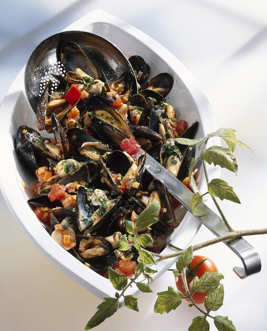 Miesmuscheln in pikanter Tomatensauce mit Kräutern