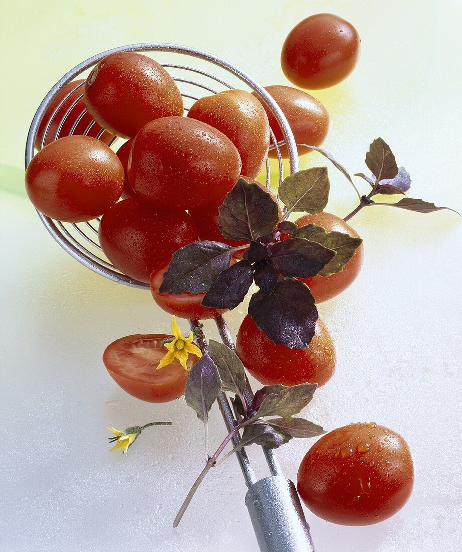 Plum tomatoes with red basil