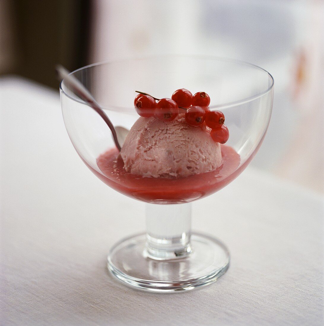 Strawberry ice cream with fruit sauce and redcurrants