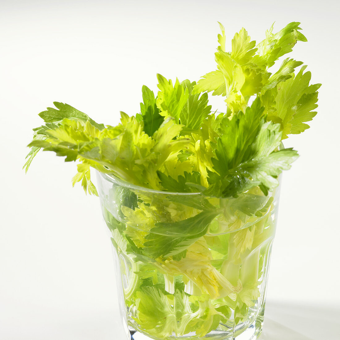 Celery in a glass