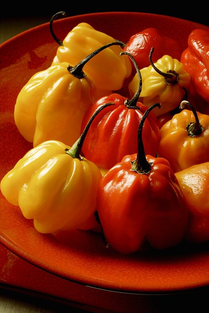 Chillies from South Africa in a red bowl