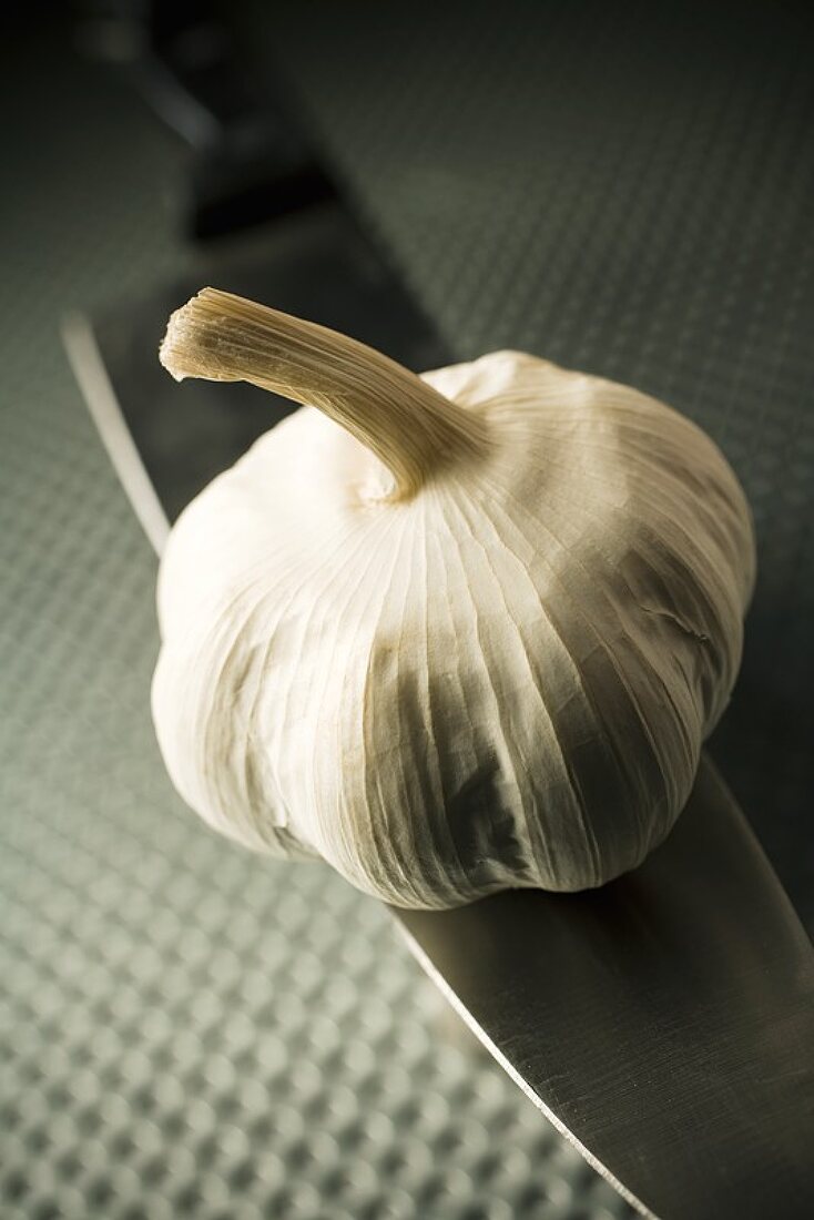 A garlic bulb on a knife