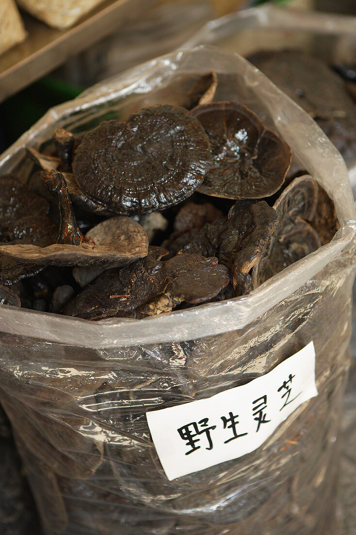 Pilze auf einem Markt in Guangzhou, China