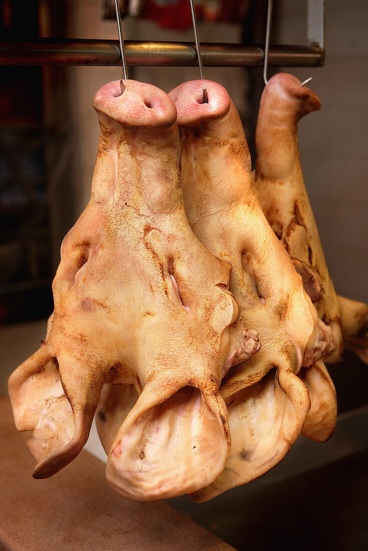 Aufgehängte Schweineköpfe (Tai Po Markt, Hongkong, China)